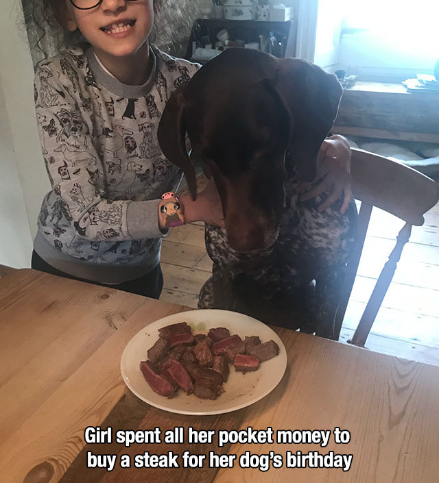 dog - Girl spent all her pocket money to buy a steak for her dog's birthday