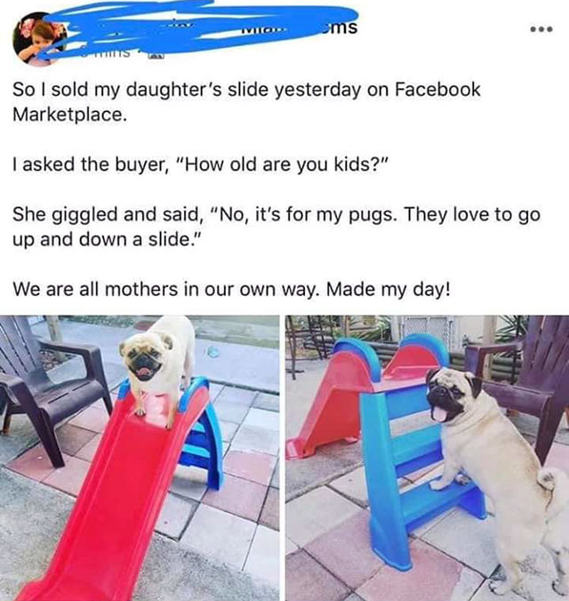 pug slide - ums Ts So I sold my daughter's slide yesterday on Facebook Marketplace. I asked the buyer, "How old are you kids?" She giggled and said, "No, it's for my pugs. They love to go up and down a slide." We are all mothers in our own way. Made my da