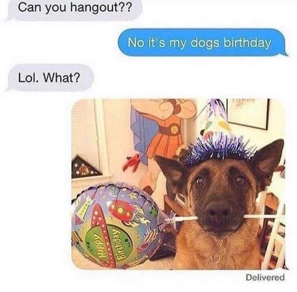 cant its my dogs birthday - Can you hangout?? No it's my dogs birthday Lol. What? Happy Birthday Delivered