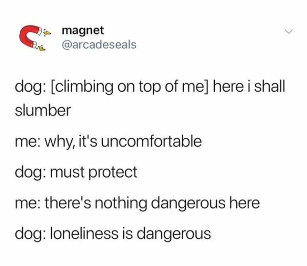 International Dog Day - magnet dog climbing on top of me here i shall slumber me why, it's uncomfortable dog must protect me there's nothing dangerous here dog loneliness is dangerous