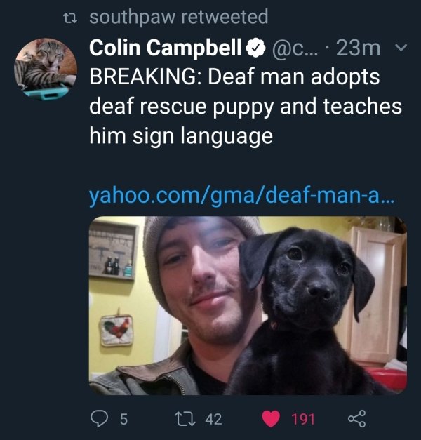 nick abbott dog - t2 southpaw retweeted Colin Campbell ...23m v Breaking Deaf man adopts deaf rescue puppy and teaches him sign language yahoo.comgmadeafmana... 0 5 27 42 191 8