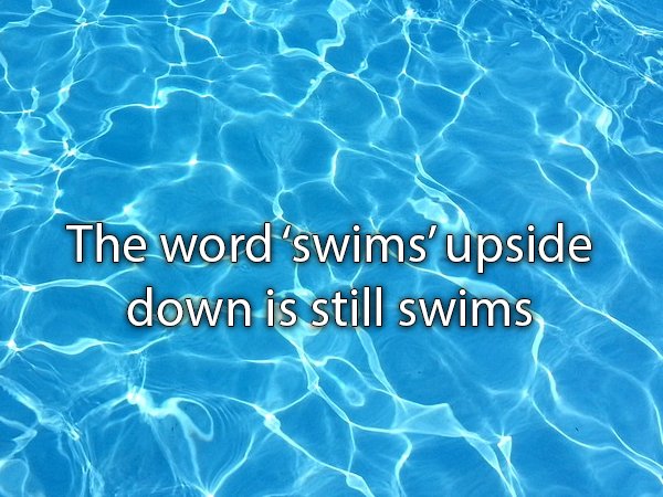 water pool - The word 'swims'upside down is still swims