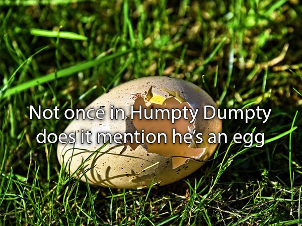 hatched bird eggs empty - Not onc in Humpty Dumpty does it mention he's an egg,