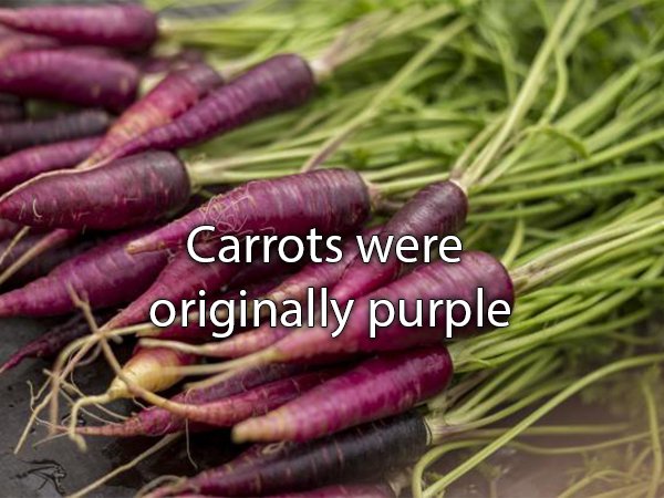 purple vegetables - Carrots were originally purple