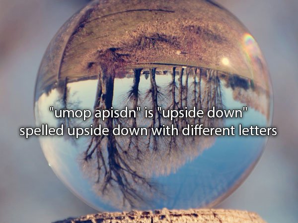 sphere - "umop apisdn" is "upside down" spelled upside down with different letters