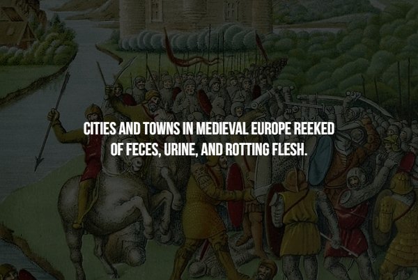 tree - Cities And Towns In Medieval Europe Reeked Of Feces, Urine, And Rotting Flesh.