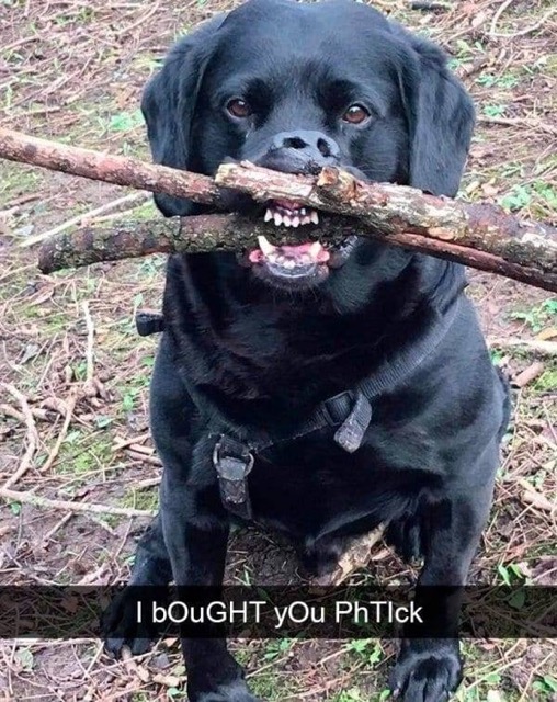 brought you a phtick - I bouGHT YOu PhTick