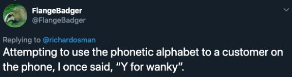sky - FlangeBadger Attempting to use the phonetic alphabet to a customer on the phone, I once said, "Y for wanky".