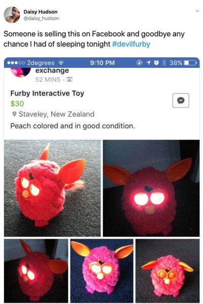 petal - Daisy Hudson Someone is selling this on Facebook and goodbye any chance I had of sleeping tonight 10 38% 00 2degrees exchange 52 Mins Furby Interactive Toy $30 Staveley, New Zealand Peach colored and in good condition.