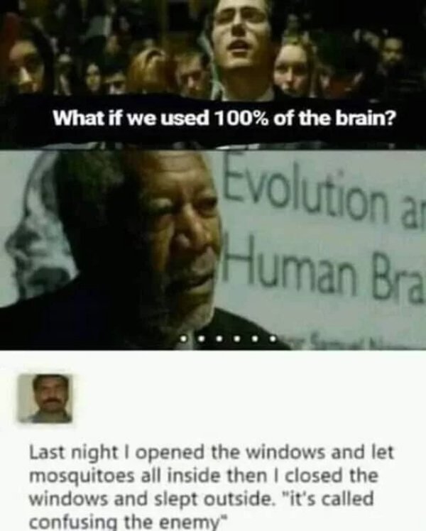 speech 100 meme - What if we used 100% of the brain? Evolution a Human Bra Last night I opened the windows and let mosquitoes all inside then I closed the windows and slept outside. "it's called confusing the enemy"