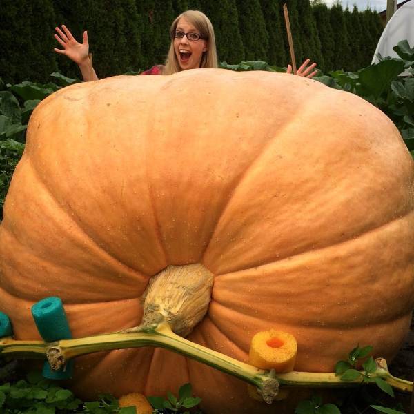 15 Giant vegetables you wont believe are real.