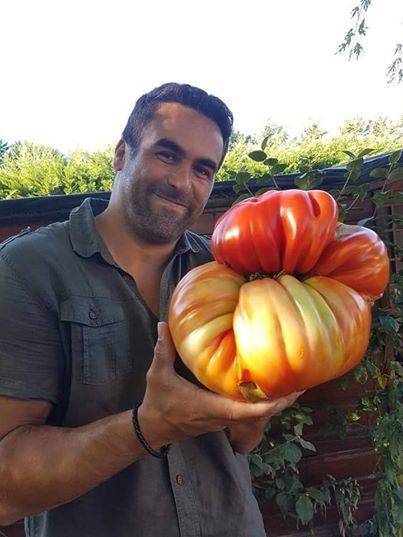 15 Giant vegetables you wont believe are real.
