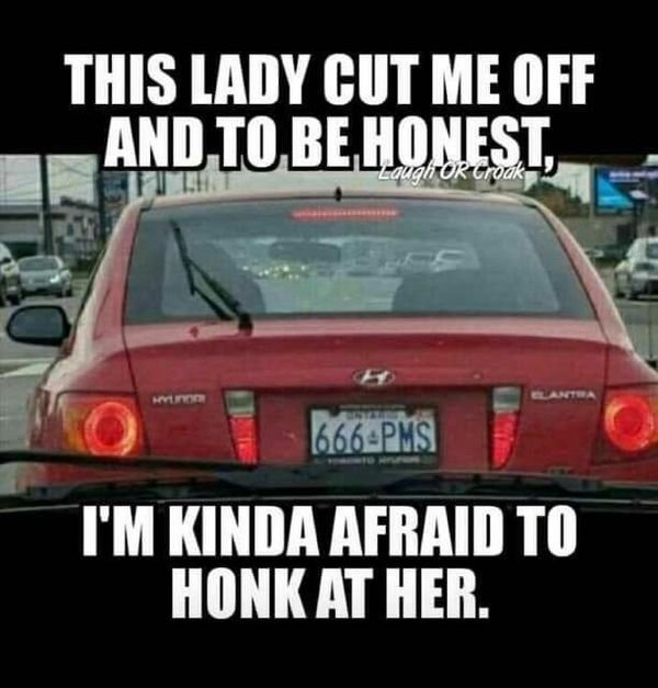 666 pms - This Lady Cut Me Off And To Be Honest, Kovo 666Pms I'M Kinda Afraid To Honk At Her.