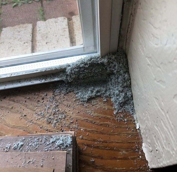 “No idea what this is. It’s powdery and reappears quickly (within a couple days) after being vacuumed up.” Termites damaging the house.
