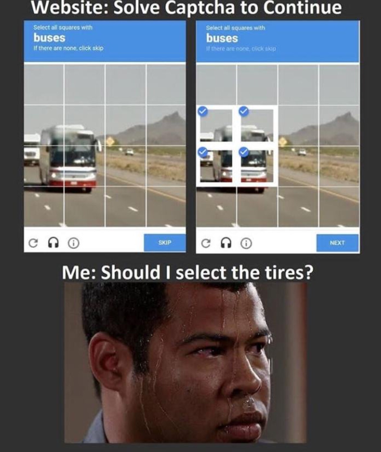 dank meme of Humour - Website Solve Captcha to Continue Select all squares with buses If there are none, click skip Select all squares with buses If there are one click skip Skip Next Me Should I select the tires?
