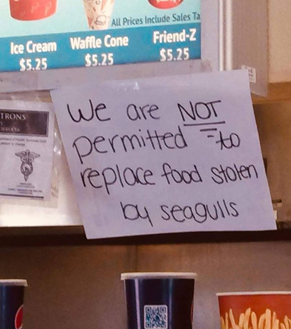 signage - Ice Cream $5.25 All Prices Include Sales Ta Waffle Cone FriendZ $5.25 $5.25 Trons We are Not permitted to replace food stolen by seagulls