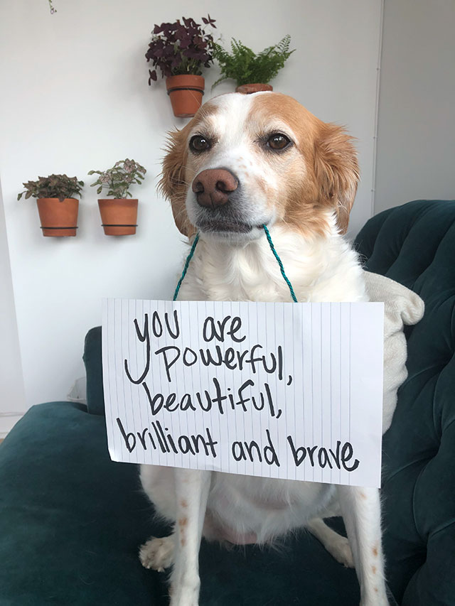 snout - you are powerful beautiful, I brilliant and brave