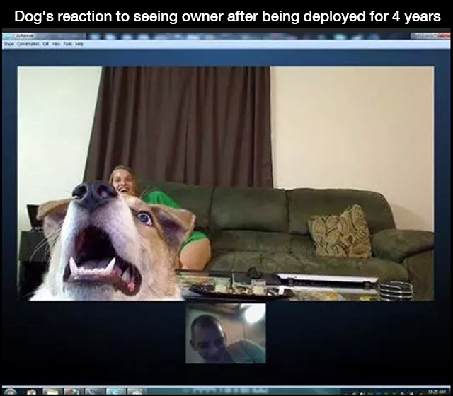 seeing dog on skype - Dog's reaction to seeing owner after being deployed for 4 years