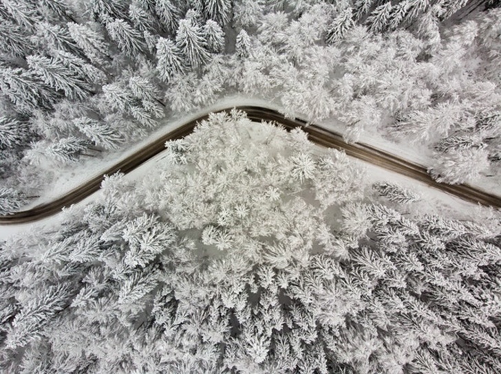 Magical winter road.