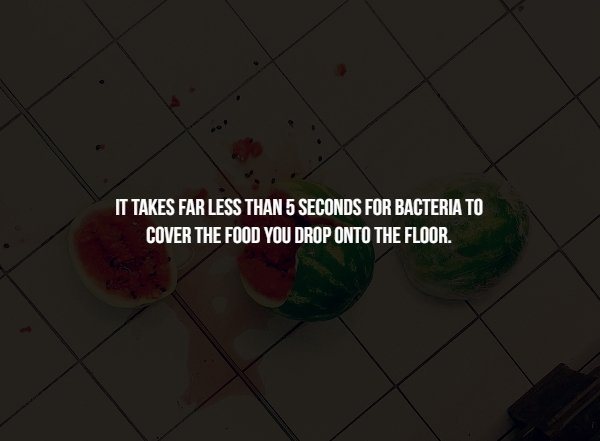 disturbing light - It Takes Far Less Than 5 Seconds For Bacteria To Cover The Food You Drop Onto The Floor.