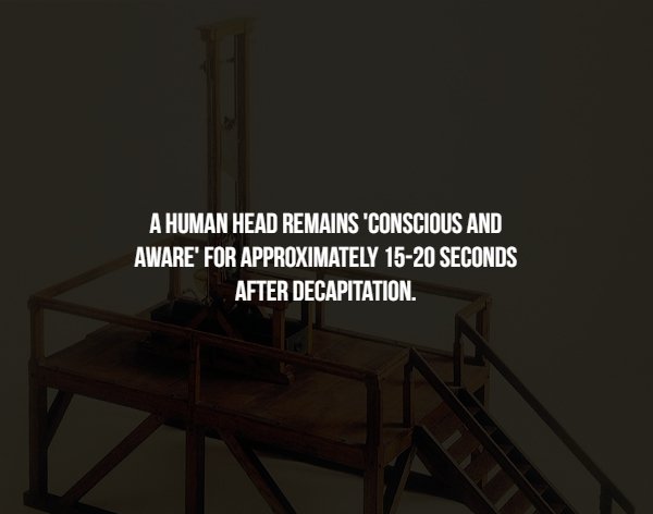 disturbing table - A Human Head Remains Conscious And Aware' For Approximately 1520 Seconds After Decapitation.