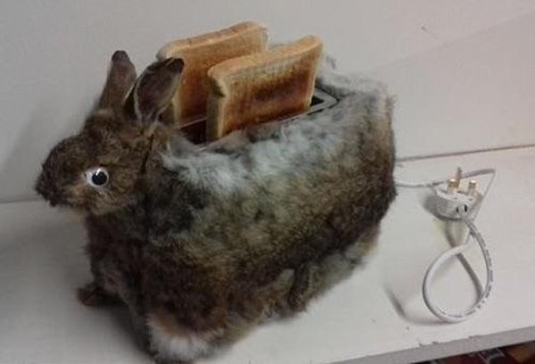 rabbit toaster