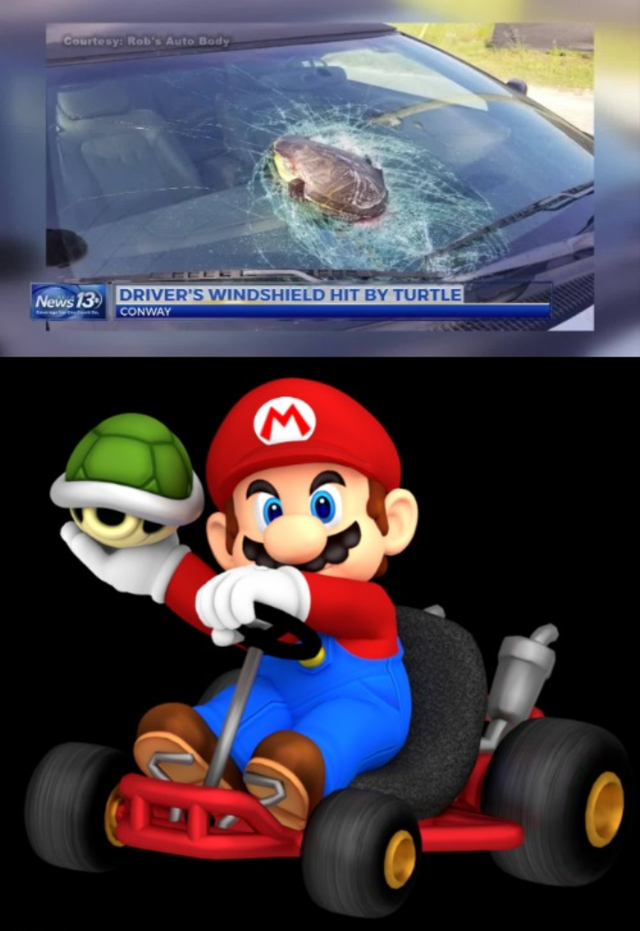 mario kart memes - A Driver'S Windshield Hit By Turtle