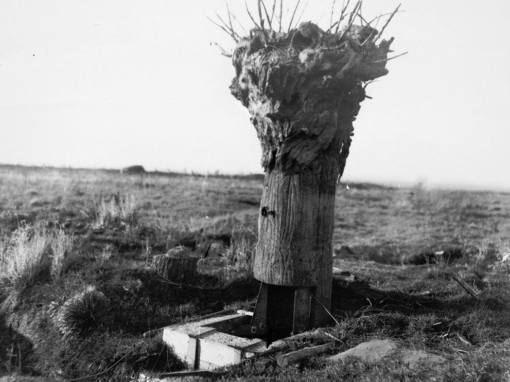 Fake trees used as observation posts in WW1.