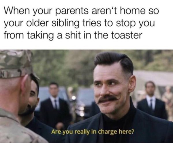 you really in charge here - When your parents aren't home so your older sibling tries to stop you from taking a shit in the toaster Are you really in charge here?