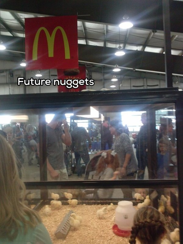 Future nuggets