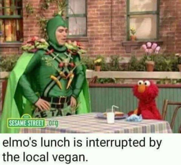dank sesame street memes - Sesame Street Org elmo's lunch is interrupted by the local vegan.