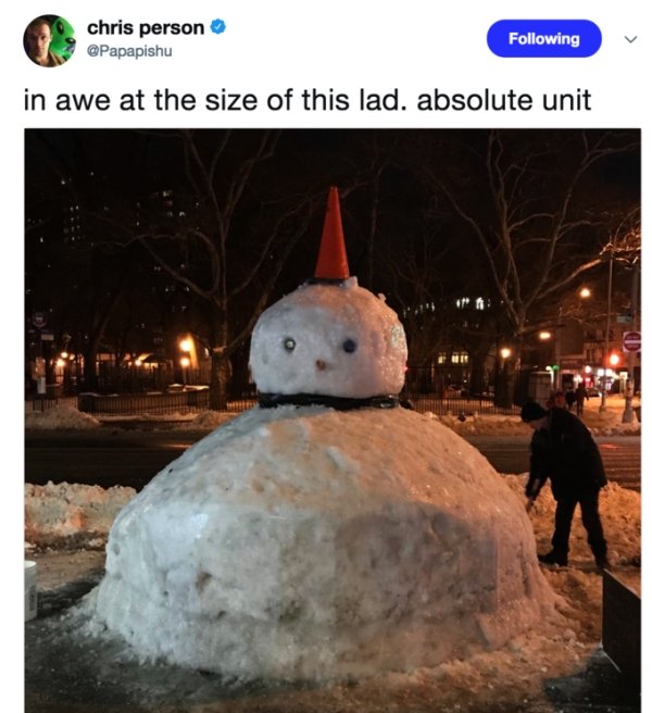 28 Things that are absolute units.