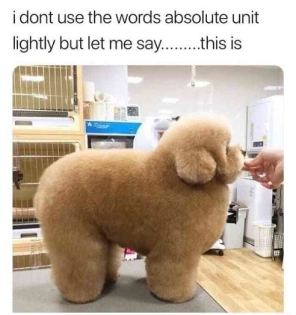 28 Things that are absolute units.