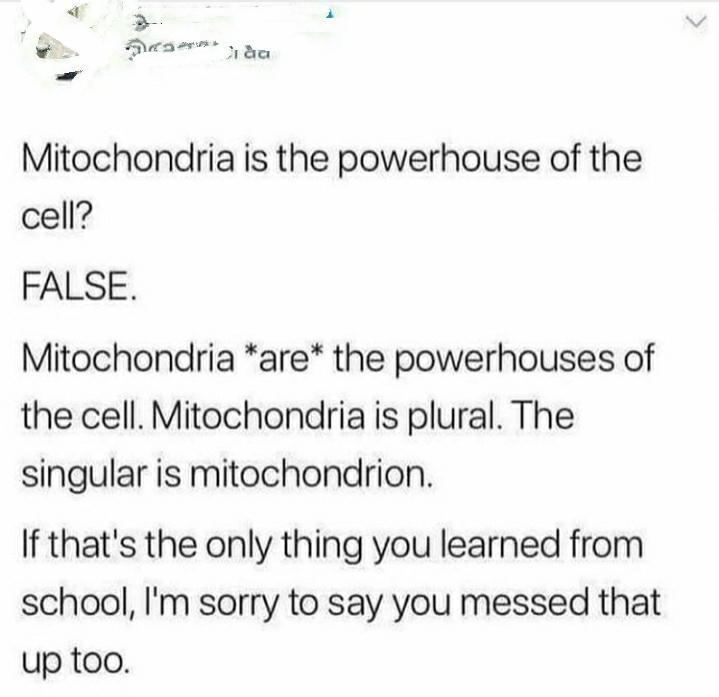 da Mitochondria is the powerhouse of the cell? False. Mitochondria are the powerhouses of the cell. Mitochondria is plural. The singular is mitochondrion. If that's the only thing you learned from school, I'm sorry to say you messed that up too.