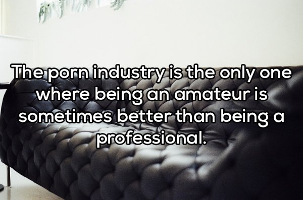 couch - The porn industry is the only one where being an amateur is sometimes better than being a professional