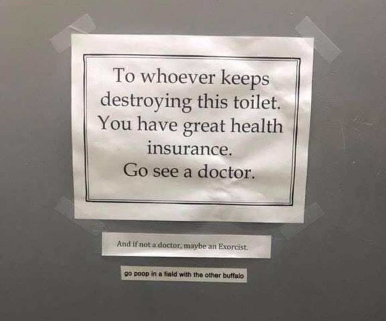 poop with the other buffalo - To whoever keeps destroying this toilet. You have great health insurance. Go see a doctor. And if not a doctor, maybe an Exorcist. go poop in a field with the other buffalo
