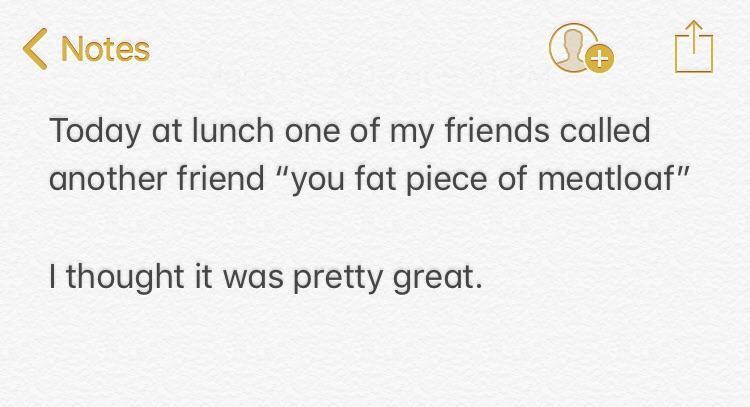 document - Notes Today at lunch one of my friends called another friend "you fat piece of meatloaf" I thought it was pretty great.