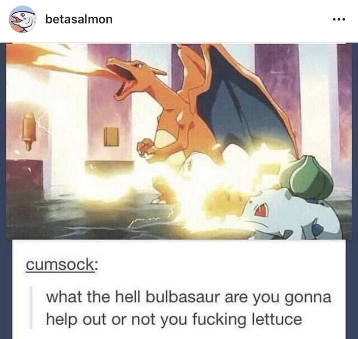 hell bulbasaur - betasalmon cumsock what the hell bulbasaur are you gonna help out or not you fucking lettuce