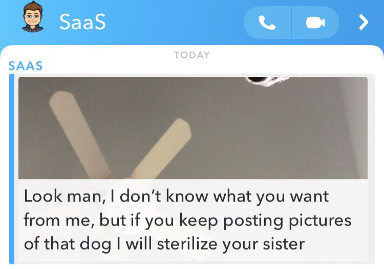 golden rule in the bible - SaaS Today Saas Look man, I don't know what you want from me, but if you keep posting pictures of that dog I will sterilize your sister