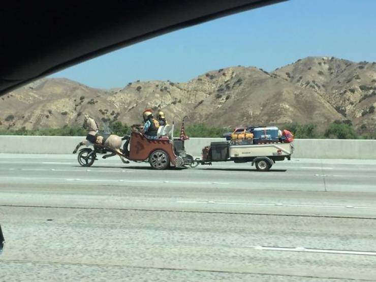 28 Weird things spotted on the road.
