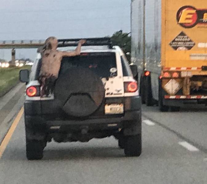 28 Weird things spotted on the road.