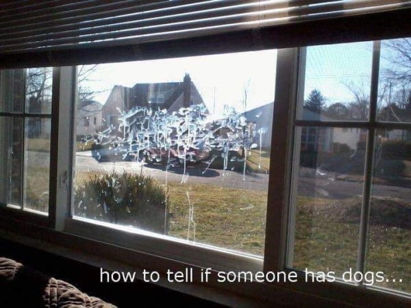 window - how to tell if someone has dogs...