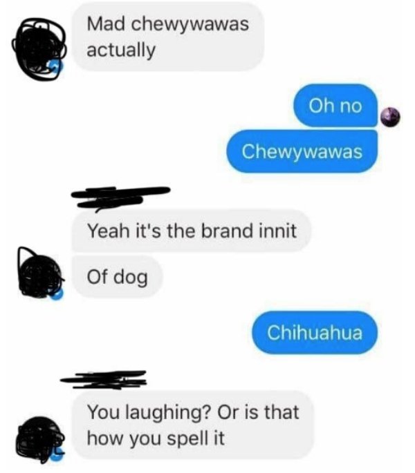 communication - Mad chewywawas actually Oh no Chewywawas Yeah it's the brand innit Of dog Chihuahua You laughing? Or is that how you spell it