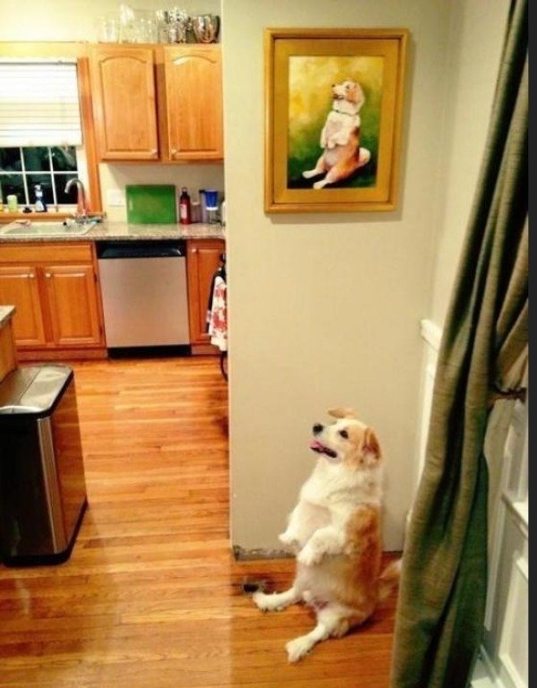 dog with painting of himself - |