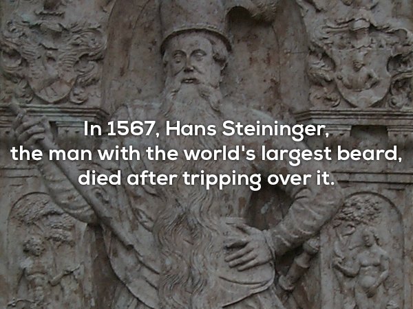 hans steininger - In 1567, Hans Steininger, the man with the world's largest beard, died after tripping over it.
