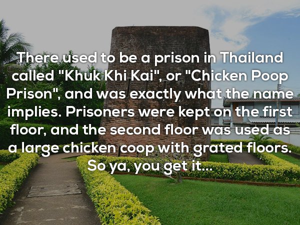 grass - There used to be a prison in Thailand called "Khuk Khi Kai", or "Chicken Poop Prison", and was exactly what the name implies. Prisoners were kept on the first floor, and the second floor was used as a large chicken coop with grated floors. So ya, 