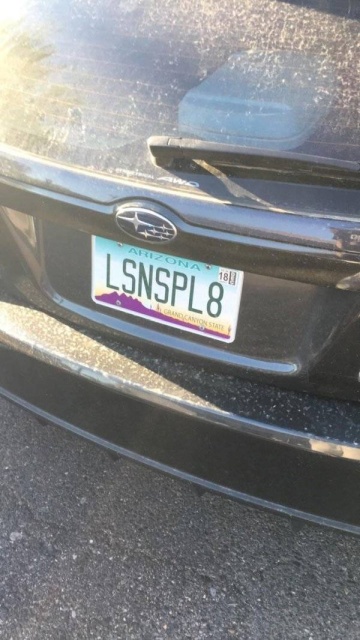 vehicle registration plate - Arizona LSNSPL8 1813
