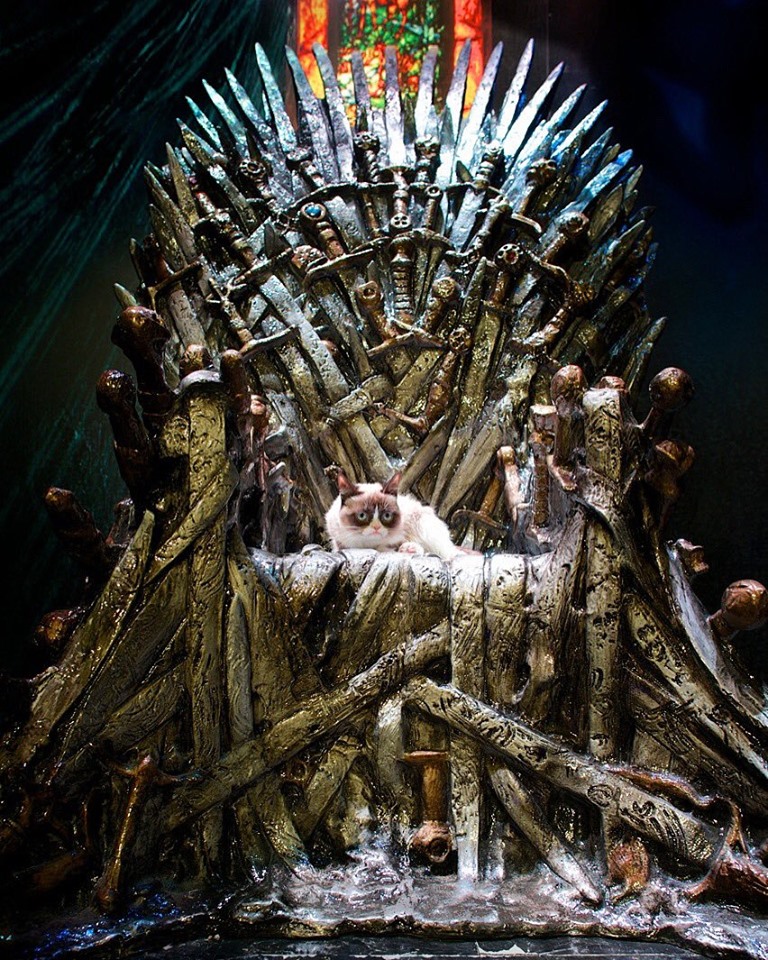 meme grumpy cat game of thrones