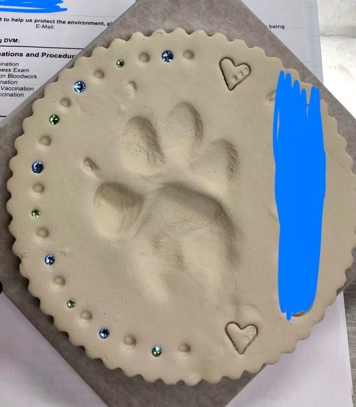 Paw prints dedicated to euthanized pets.