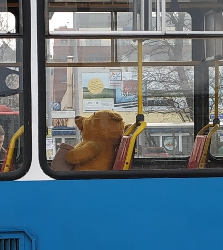 Winnie the pooh is put inside the tram when new colleagues are taking their driving  exams.